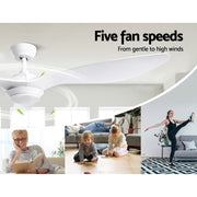 52'' Ceiling Fan DC Motor w/Light w/Remote - White